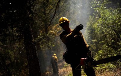El Tribunal Superior de Justicia de Galicia reconoce el derecho a la conciliación de un bombero forestal y obliga a la Xunta a cambiarlo de turno y de puesto
