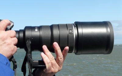 El Tribunal Supremo considera ilícitas las fotos que un detective privado hizo a un trabajador de baja haciendo labores en el jardín de su casa