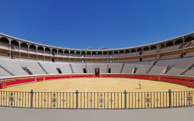 Confirman el despido de un conductor que estando de baja por «ansiedad generalizada» conducía y descargaba camiones para una empresa taurina «por su afición a los toros»